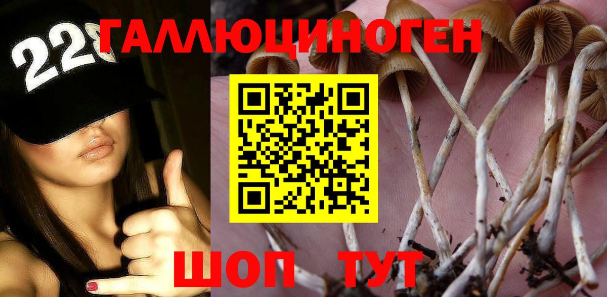 Вятские Поляны  Галлюциногенные грибы Psilocybe  Вход с VPN 