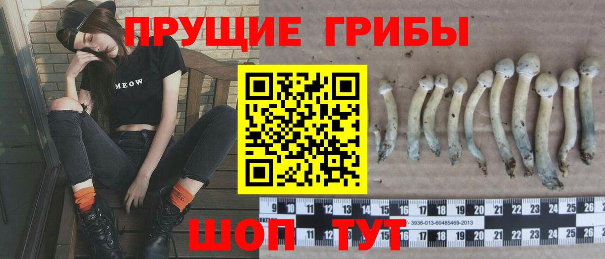 Псилоцибиновые грибы ЛСД Вятские Поляны